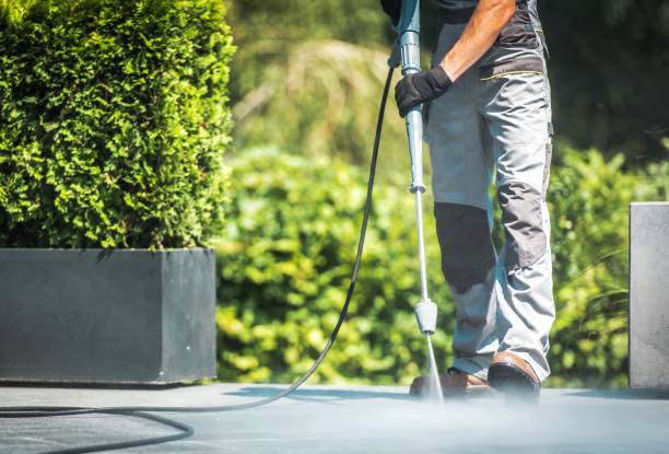 Best Solar Panel Cleaning  in Lake Isabella, CA