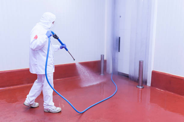 Best Factory Floor Cleaning  in Lake Isabella, CA