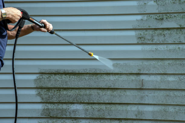 Animal Enclosure Cleaning in Lake Isabella, CA